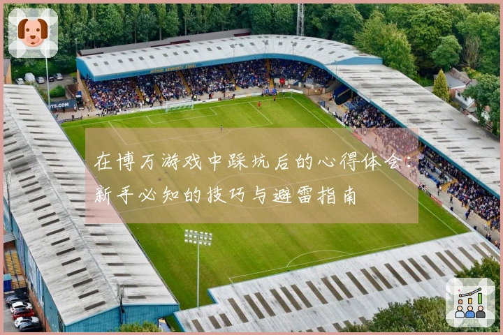 在博万游戏中踩坑后的心得体会：新手必知的技巧与避雷指南