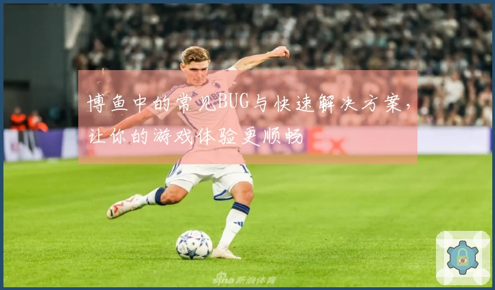博鱼中的常见BUG与快速解决方案，让你的游戏体验更顺畅