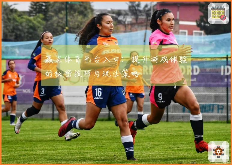 赢点体育平台入口:提升游戏体验的秘密技巧与玩法策略