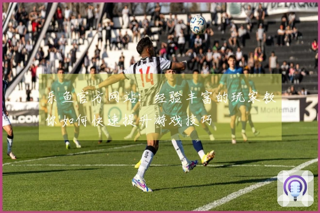 乐鱼官方网站：经验丰富的玩家教你如何快速提升游戏技巧